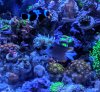 IMG_20200130_133631.jpg