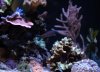 DSC00764.jpg