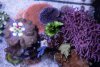 DSC00798.jpg