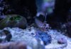 DSC06547-3.jpg