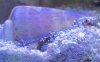 7411E8CA-2E0D-4E50-A33F-01169B94B519.jpeg