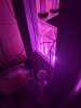 IMG_20200219_225550.jpg