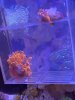 19190219-9ACF-40FD-9DCD-1A7F2DB9EC34.jpeg