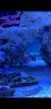 CA13D8FC-5810-430D-9012-BE906C1B4253.png