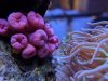 IMG_20190109_160521.jpg