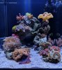 IMG_20190109_161121.jpg
