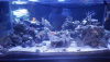 C28907E7-A9C4-49CC-8D20-38680635B222.png