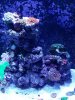 20190128_183628.jpg