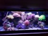 20190117_085959.jpg