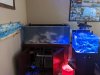 IMG_20200321_174722.jpg
