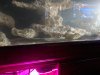 IMG_20200321_202537.jpg