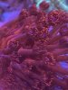 136758FC-A758-417F-AA87-1919062060C5.jpeg