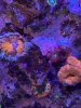 919772D6-8A12-4BE1-B091-0AF03A91EBB8.jpeg