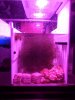 IMG_20200324_174740.jpg