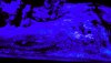 71B0D945-D051-4CEE-8260-FF8DE89447C9.jpeg