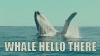 24214DA8-1EDC-45E9-B680-9796FD0EF819.gif