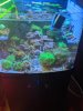 IMG_20200505_175300.jpg