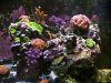 2C415267-F3E3-4E88-A8AF-0BB09678DE55.jpeg