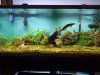 20200609_183351.jpg