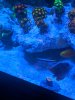 IMG_20200610_171856.jpg
