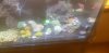 20200613_135524.jpg