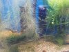 20200703_130443.jpg
