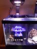 20200704_164659.jpg