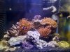 20200711_152911.jpg