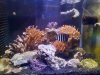 20200711_152914.jpg