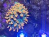 5BD05315-681B-438D-9471-A2130BEE4E74.jpeg