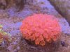 117B8135-2C64-48AD-A057-0C75A39EDF75.jpeg
