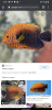 Screenshot_20200718-173718.png
