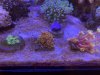 B5E92175-7BBC-45D6-8EA3-8F15FB9B02D2.jpeg