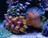 DSC01831-2.jpg