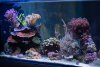 DSC01615.jpg