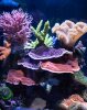 DSC01662.jpg