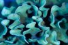 DSC01707-2.jpg