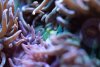 DSC01745-2.jpg