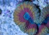 DSC01813-2.jpg