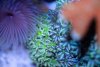DSC01819-2.jpg
