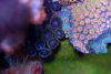 DSC01822-2.jpg