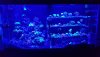 20200811_205443.jpg