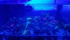 20200811_204651.jpg