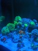 IMG_20200813_182727.jpg