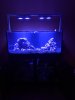 IMG_20200817_181055.jpg