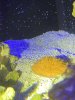 EF6B023D-552F-40C2-82DF-38799CB1E209.jpeg