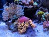 IMG_20190214_182111.jpg