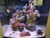 20190226_141457.jpg