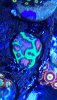 EBB997A0-A254-4CA5-88DD-9EBF45128242.jpeg