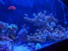 IMG_20200929_175907.jpg